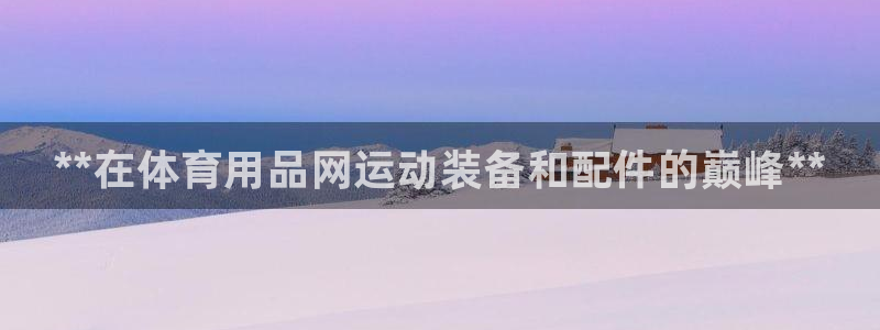 欧陆娱乐游戏:**在体育用品网运动装备和配件的巅峰**
