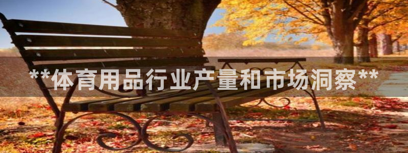 欧陆娱乐官网网址是什么:**体育用品行业产量和市场洞察**
