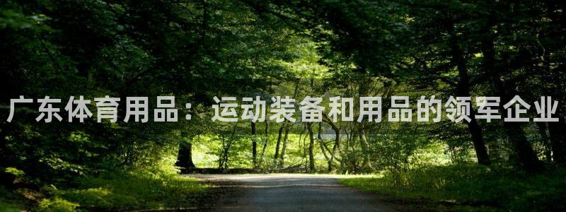 欧陆娱乐怎么注册会员的:广东体育用品:运动装备和用品的领军企